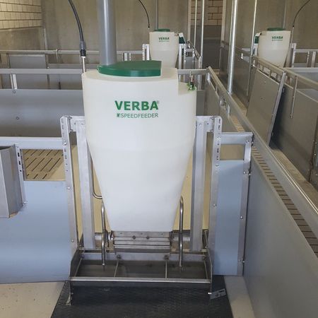 Загрузочная воронка для свиней - VERBA - из нержавеющей стали / с сосками