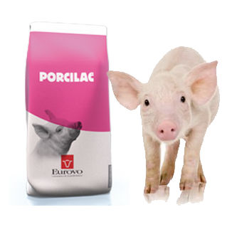 Заменитель молока для свинины - Porcilac - LACTALIS FEED - в форме порошка