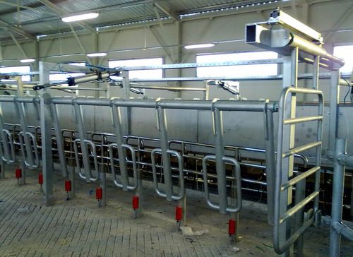 Помещение для дойки для коров - FETA 30 - LAKTO Dairy Technologies - параллельное / быстрый выход