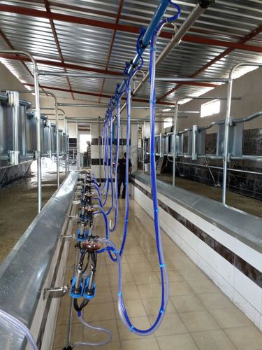 Помещение для дойки для коров - Melasty Milking Machines & Equipment - «в елку»