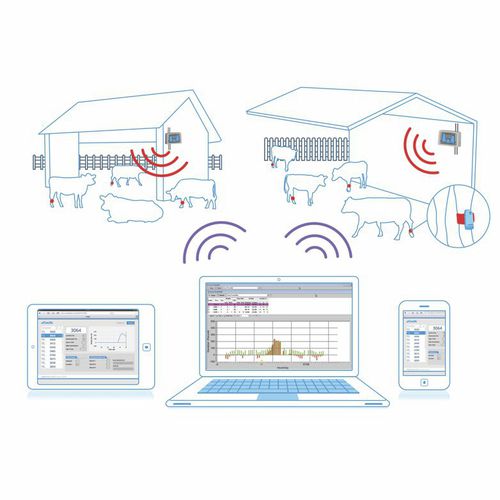 Программное обеспечение для управления - AfiAct II - MILKPLAN S.A. - для контроля / для анализа / для управления данными
