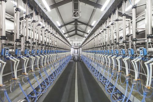 Помещение для дойки для баранов - F4A  - MILKPLAN S.A. - параллельное / быстрый выход
