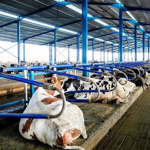 Мат для коров из латекса - MILKPLAN S.A. - для стойла