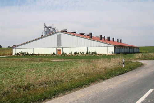 Хлев для свинины - Modulstall GmbH