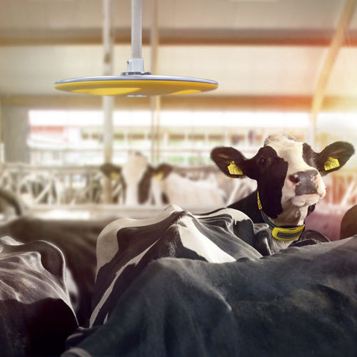 Система наблюдения для хлева - Nedap Livestock Management - для коров / для системы определения взаимного положения / мобильная