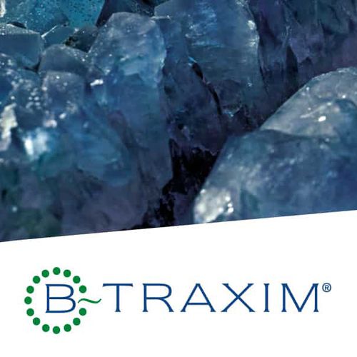 Пищевая присадка для домашней птицы - B-TRAXIM® - Pancosma - для свинины / для овец / для крупного рогатого скота