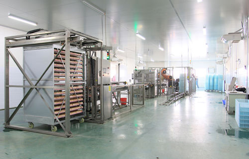 Автоматический аппарат для браковки яиц - Qingdao Xingyi Electronic Equipment Co., Ltd.
