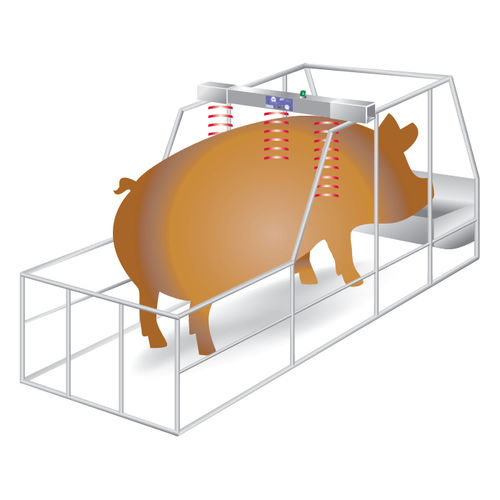 Система наблюдения для скота - PigWatch  - Ro-Main - на фертильность / тепла / дистанционная