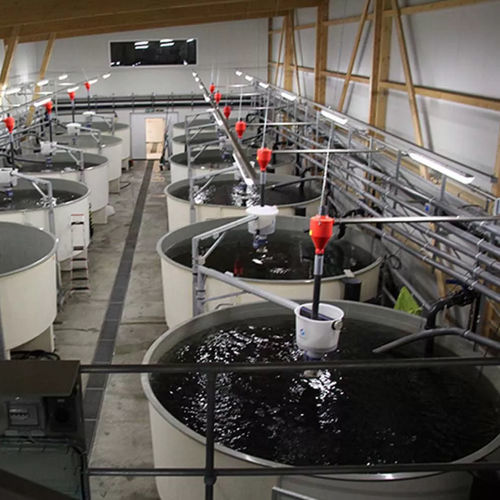 Система кормления с бункером - SPOTMIX  - Schauer Agrotronic GmbH - для аквакультуры / центральная