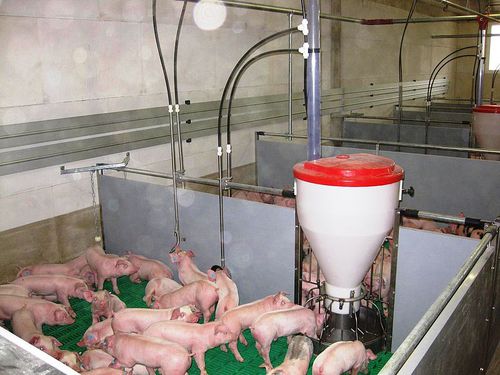 Хлев - SCHULZ Systemtechnik GmbH