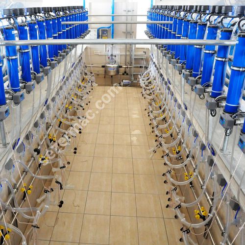 Шашты әйелдер порно видео