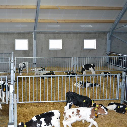 Барьер для домашнего скота - Partition barriers - Spinder Dairy Housing Concepts - для стойла / для луга / для коров