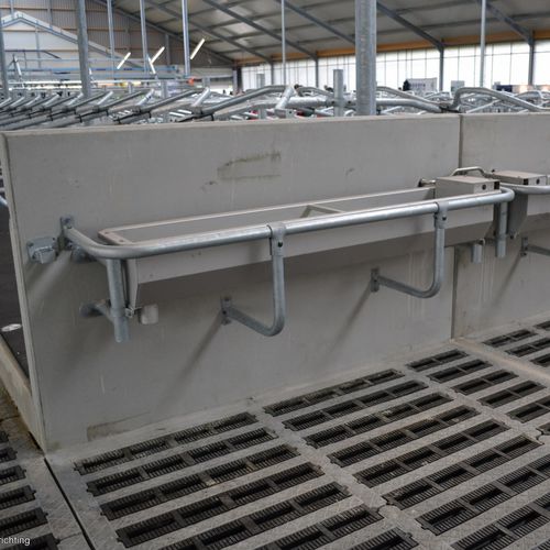 Водопойный желоб для коров - 150, 200, 300 - Spinder Dairy Housing Concepts - с лотком / из нержавеющей стали / мультидоступ