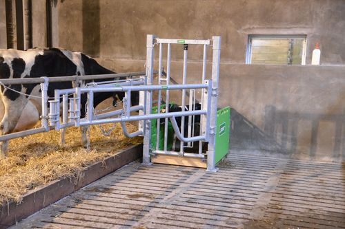Родильная клетка для телят - Cuddle box - Spinder Dairy Housing Concepts - для коров