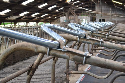 Стойка для шеи коровы - Wave neckbar - Spinder Dairy Housing Concepts