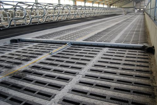 Отвал для навоза со шнуром - Slatted Floor Scraper - Spinder Dairy Housing Concepts - прямой / для щелевого пола / автоматический