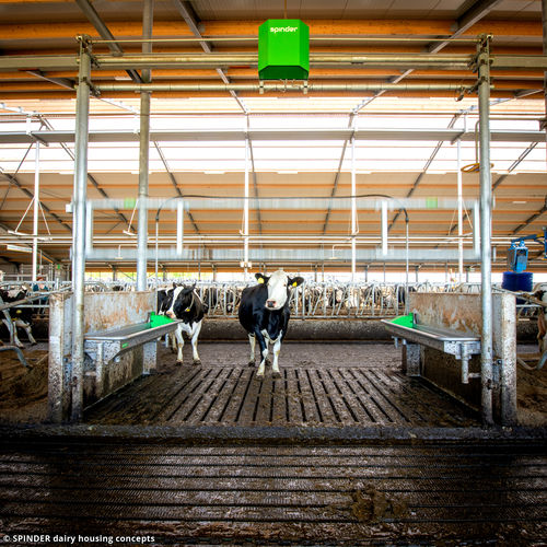 Система наблюдения для скота - Autolift - Spinder Dairy Housing Concepts - поведение животных / беспроводная