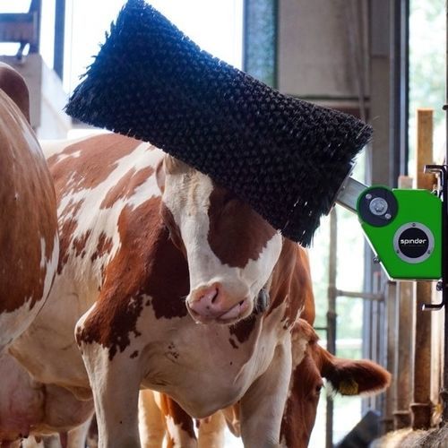 Щетка для домашнего скота - Nirvana - Spinder Dairy Housing Concepts - вращающаяся / для коров / горизонтальная