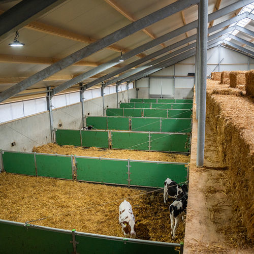 Перегородка для домашнего скота - partition barriers with panels - Spinder Dairy Housing Concepts - для крупного рогатого скота / из пластика / из металла