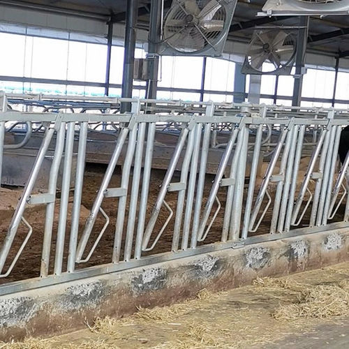 Кормовая решетка для коров - Tai'an Yimeite Machinery Co., Ltd. - самоблокирующаяся / с трубчатой структурой