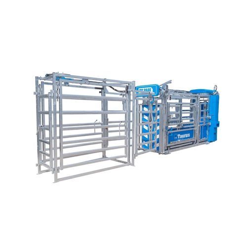 Ворота для сортировки животных для коров - TAURUS HD5 - Te Pari Products Ltd. - автоматизированный / для ленты с системой обнаружения веса
