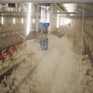 Автоматическая система распределения пищи для домашней птицы - Rotra - VDL AGROTECH B.V.