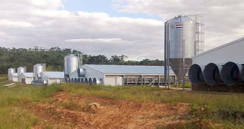 Зернохранилище для питания животных - VDL AGROTECH B.V. - из гальванизированной стали / с коническим дном / модульное