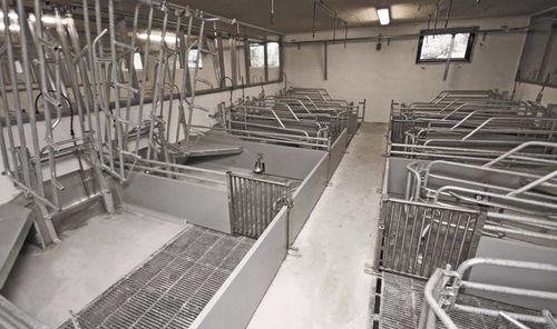 Клетка для рождения - FT-30 - Vissing Agro A/S