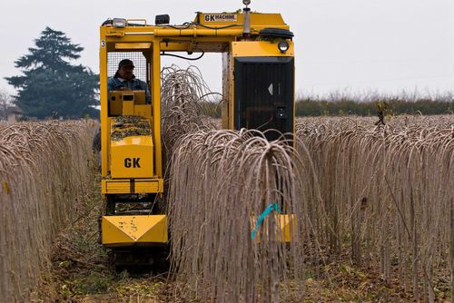 Самоходная машина для выдергивания комов растений - H7  - G K Machine, Inc.