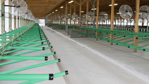 Стойло - GREENFREESTALL/Captein Bros Equipment LLC
