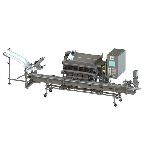 Упаковочная машина для фруктов - WFMP60 - A & B Packing Equipment, Inc. - автоматическая