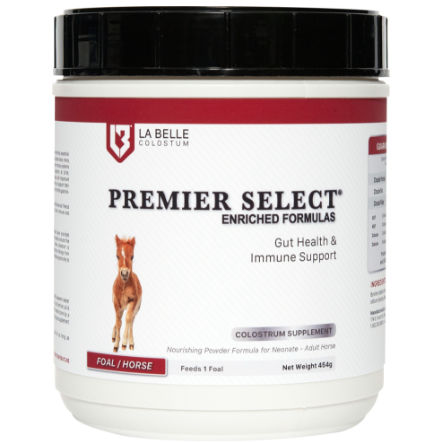 Порошковый колострум для лошадей - PREMIER SELECT - La Belle Colostrum - в форме порошка
