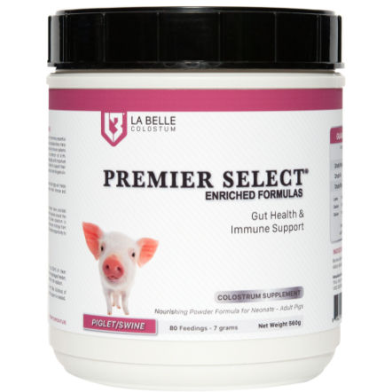 Порошковый колострум для свинины - PREMIER SELECT - La Belle Colostrum - в форме порошка