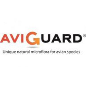 Кормовая добавка для животных - AVIGUARD - Lallemand Animal Nutrition - для домашней птицы / с дрожжами / сухая