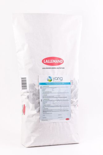 Кормовая добавка для животных - YANG - Lallemand Animal Nutrition - для крупного рогатого скота / для домашней птицы / для лошадей