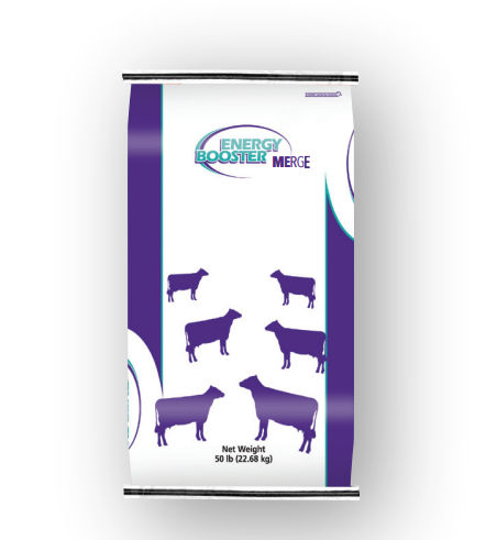 Кормовая добавка для животных - Energy Booster Merge® - Milk Specialties Global - для крупного рогатого скота / жирная / жирных кислот