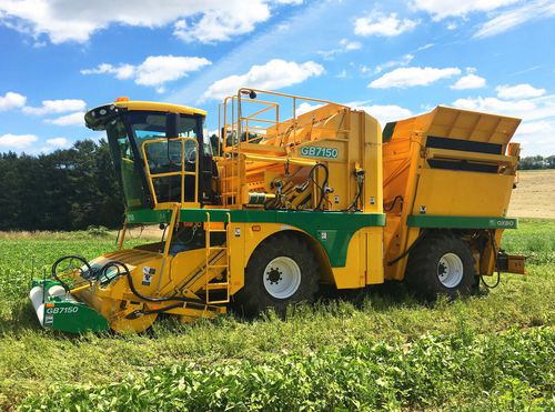 Уборочная машина для зеленой фасоли - GB7150 - Oxbo International Corporation - самоходная