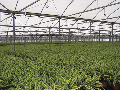Фиксированная система полива - SUPER SPRAY	 - Senninger Irrigation, Inc.