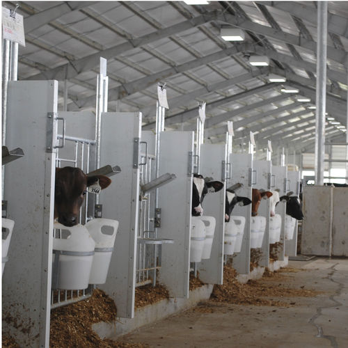 Будка для домашнего скота - Standard - Artex Barn Solutions LTD. - для телят / индивидуальная / для интерьера