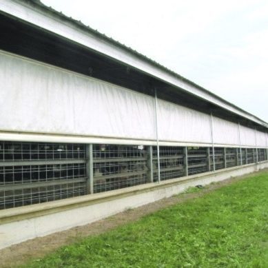 Экран роллерная штора - Artex Barn Solutions LTD. - для животноводства / автоматический
