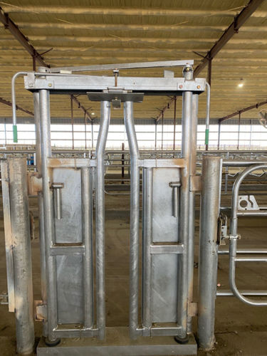 Станок для фиксации скота для коров - Artex Barn Solutions LTD. - с ручным зажимом