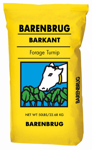 Корм брюква - Barkant  - Barenbrug USA - для питания животных / для лугов / для крупного рогатого скота