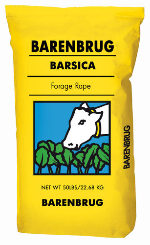 Корм брюква - Barsica - Barenbrug USA - для питания животных / для лугов / для крупного рогатого скота