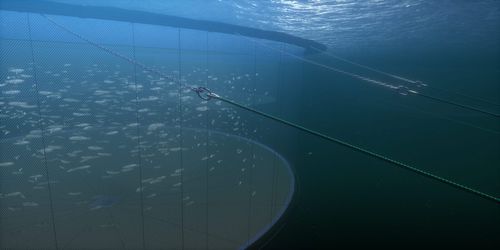 Сеть для аквакультуры для разделения резервуара с водой - Vónin - нейлоновая / из Dyneema® / из полиэтилена