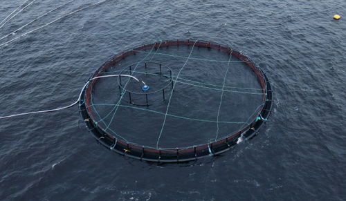 Плавучая клетка для рыбы - THE 400 - Mørenot Aquaculture AS - круглая