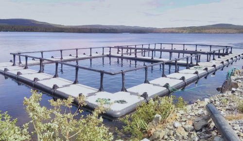 Плавучая клетка для рыбы - Mørenot Aquaculture AS - квадратная