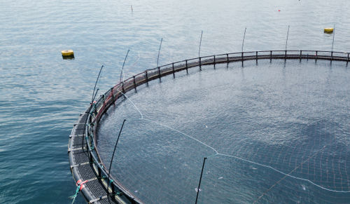 Сеть для аквакультуры для защиты от птиц - Mørenot Aquaculture AS
