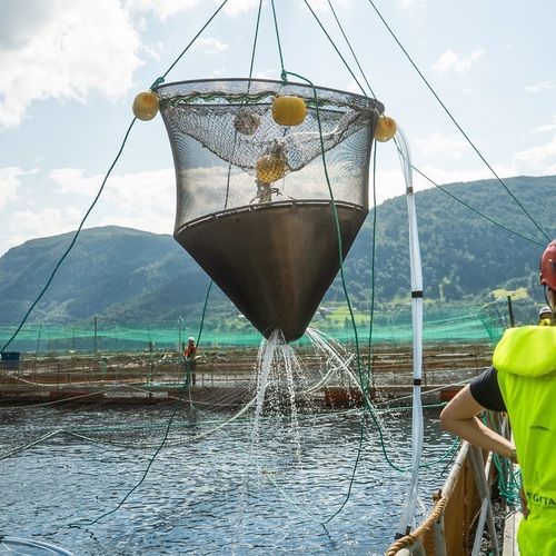 Сеть для аквакультуры для разделения резервуара с водой - Bio Seize - Mørenot Aquaculture AS