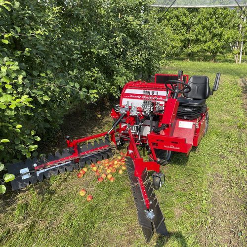 Уборочная машина для лесного ореха - OB 80 R - FEUCHT Obsttechnik GmbH - для грецкого ореха / для миндаля / для яблок