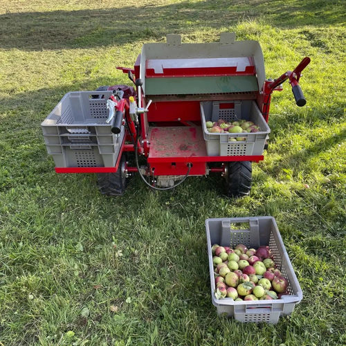 Уборочная машина для фруктов - OB 80 Hydro - FEUCHT Obsttechnik GmbH - толкаемого типа